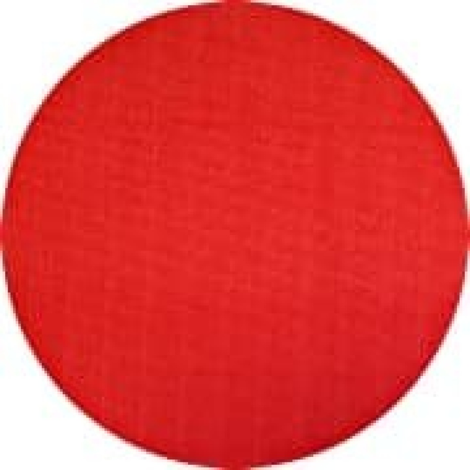 305mm velcro backing disc